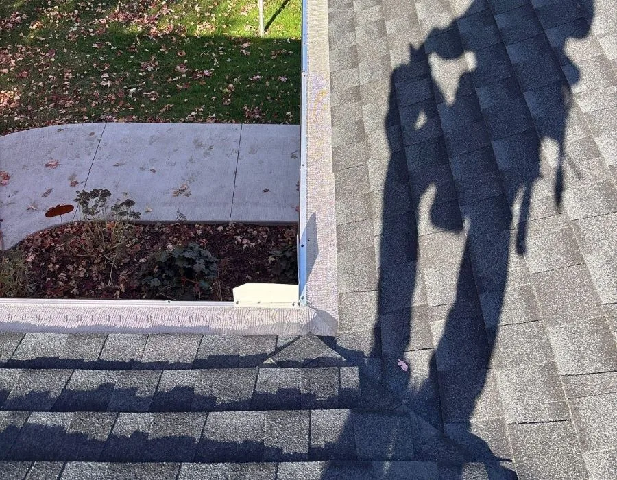 New gutter with a gutter guard installed along a shingle roof edge above a front walkway